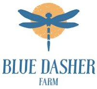 Blue Dasher