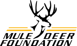 mdf